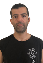 רותם בן ציון